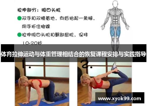 体育拉伸运动与体重管理相结合的恢复课程安排与实践指导