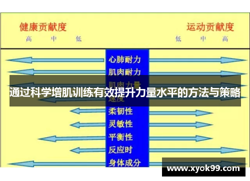 通过科学增肌训练有效提升力量水平的方法与策略